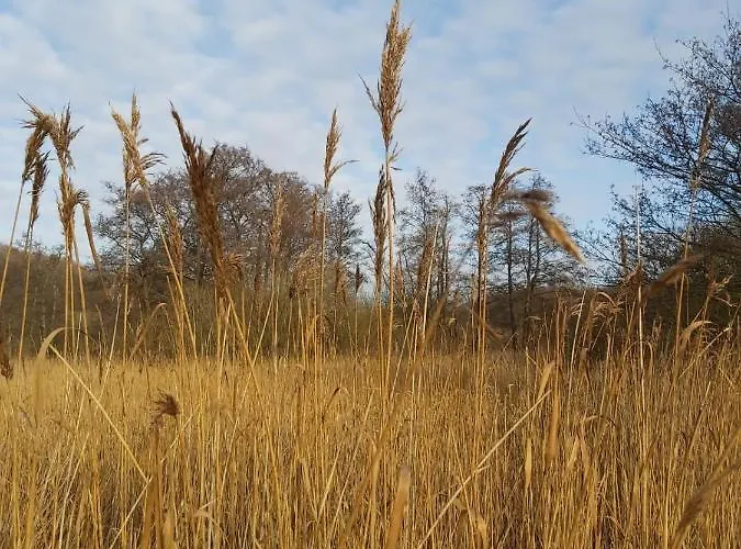 Appartement Foerde Koje *